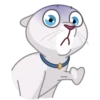 Memes With Cats 17