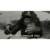 MonkeyPon 16