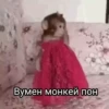 MonkeyPon 17
