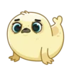 Polar Pup 13