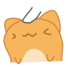Orange Capoo 9