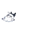 Mafumafu cat 8