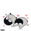 Baby Penguin 6