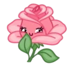 Live Flowers 11