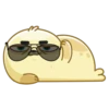 Polar Pup 14