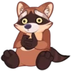 Proha Raccoon 12