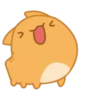 Orange Capoo 10