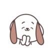 Hao Pup 16