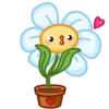 Live Flowers 13