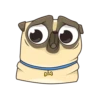 Puga the Dog 15