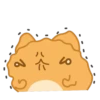 Orange Capoo 11