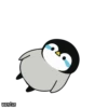 Baby Penguin 7