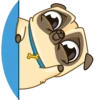 Puga the Dog 17