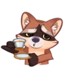 Proha Raccoon 13