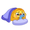 chick_anim 11