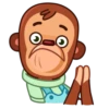 Monkey Puppet 13