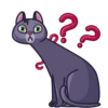 Memes With Cats 20