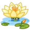 Live Flowers 15