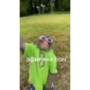 MonkeyPon 21