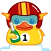 Duck 14