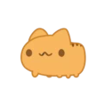 Orange Capoo 13
