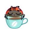 Ladyboo 17