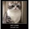 basicss but video 16