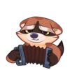 Proha Raccoon 16