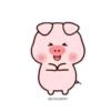 Stupid Pig 15