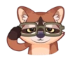 Proha Raccoon 17