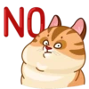 Memes With Cats 23