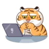 Grumpy Tiger 16