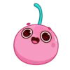 Pink Cherry 13