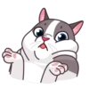 Memes With Cats 24