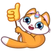 A Unicorn Cat 16