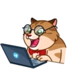 Memes With Cats 25