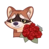 Proha Raccoon 20