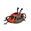 Ladyboo 20