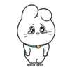 Dream Rabbit 🐰 11