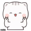 Cutie Cat-Chan 20