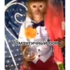 MonkeyPon 26