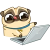 Puga the Dog 20