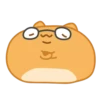 Orange Capoo 17