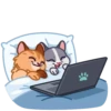 Memes With Cats 28