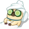 Puga the Dog 21
