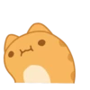 Orange Capoo 18