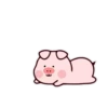 Stupid Pig 24