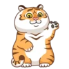 Grumpy Tiger 23