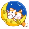 A Unicorn Cat 20