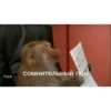 MonkeyPon 29
